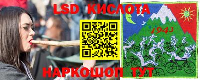 бошки Кингисепп
