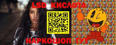 бошки Кингисепп