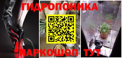 бошки Кимры
