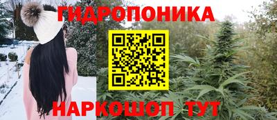 2c-b Кинель