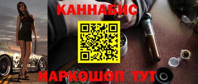 бошки Кингисепп
