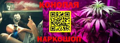 бошки Кимры
