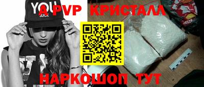 бошки Кингисепп