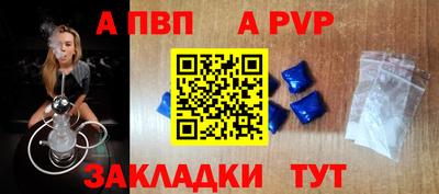 бошки Кингисепп