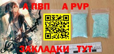 бошки Кингисепп